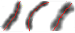 www.frontiersin.org