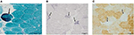 www.frontiersin.org