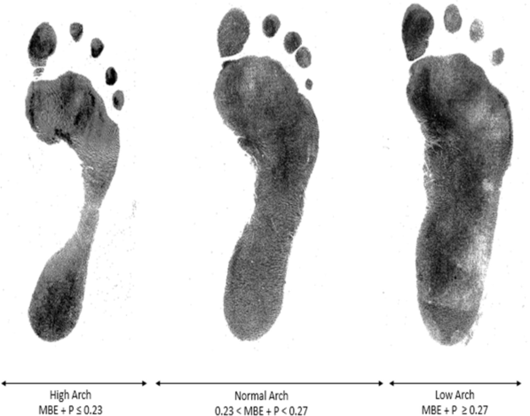 Frontiers | Automated Spatial Pattern Analysis for Identification of ...