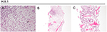 www.frontiersin.org