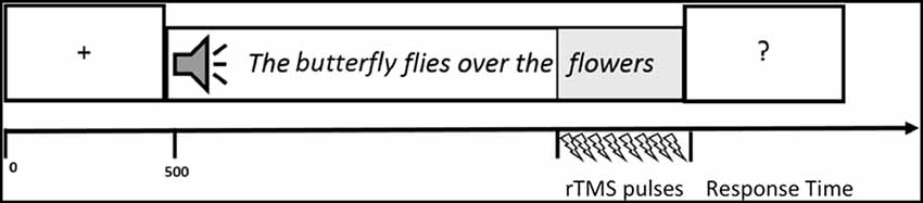 www.frontiersin.org