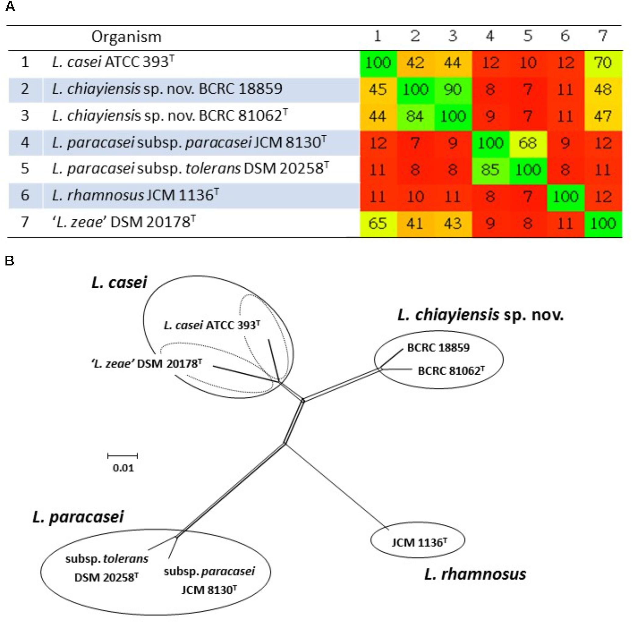 Lactobacillus Identification Chart