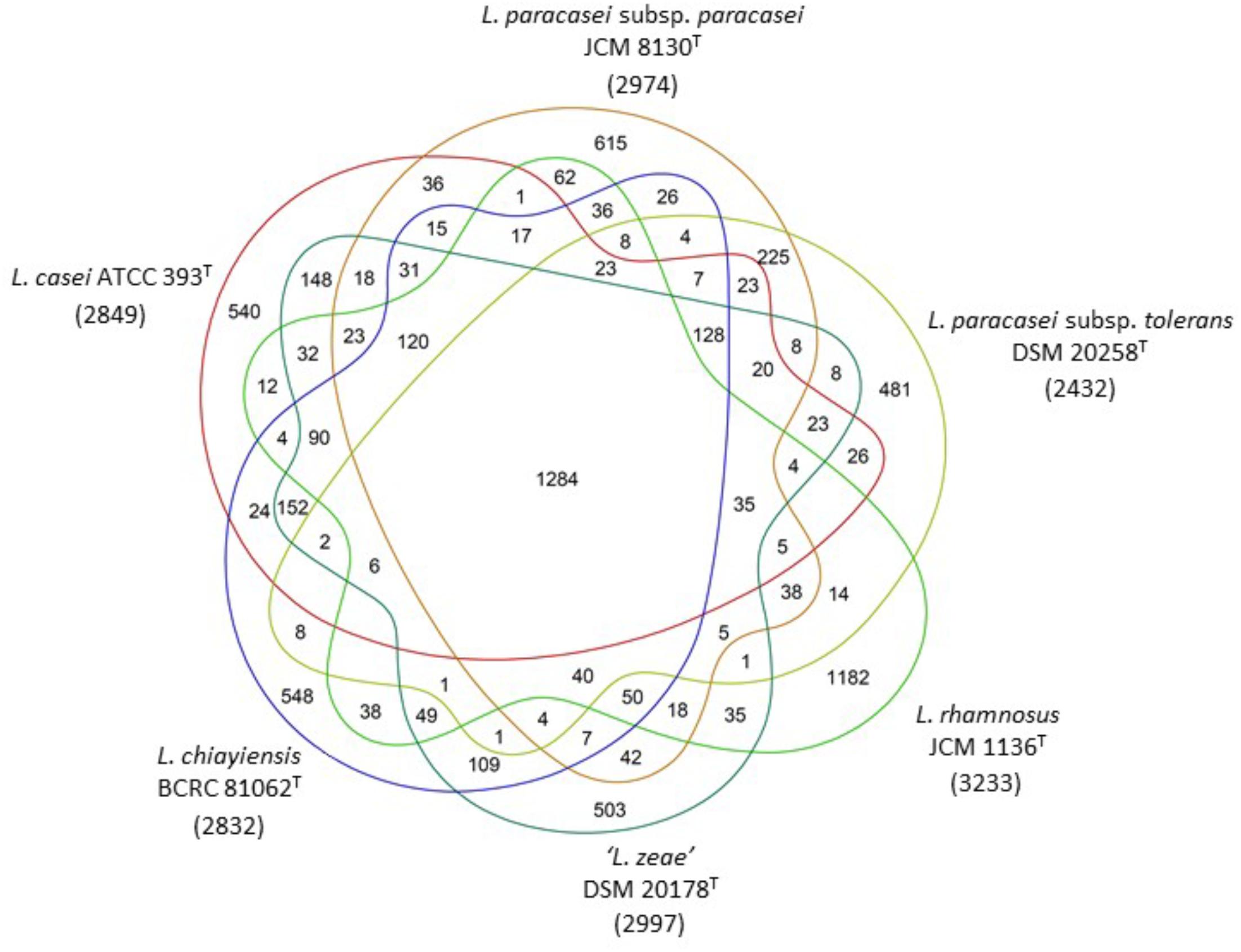 Lactobacillus Identification Chart