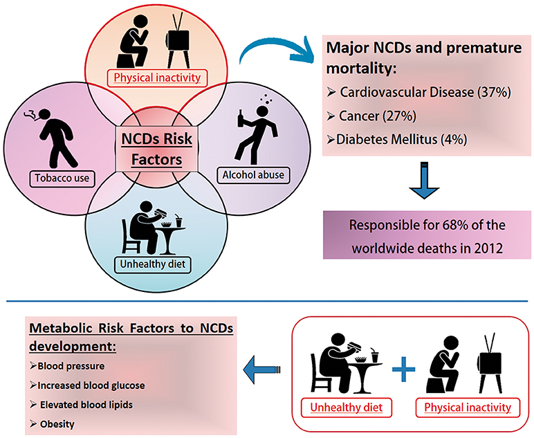 Frontiers  A single-set functional training program increases muscle  power, improves functional fitness, and reduces pro-inflammatory cytokines  in postmenopausal women: A randomized clinical trial