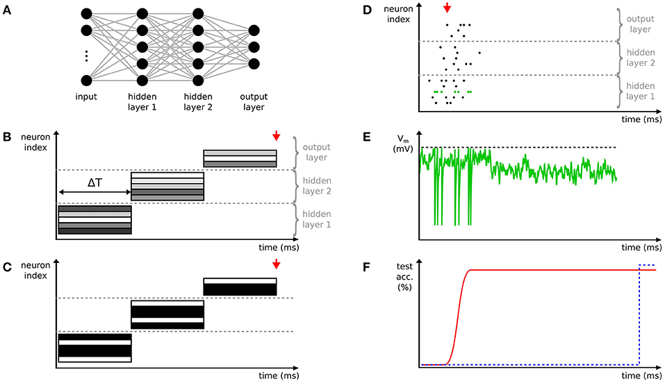 Frontiers Deep Learning With Spiking Neurons - 