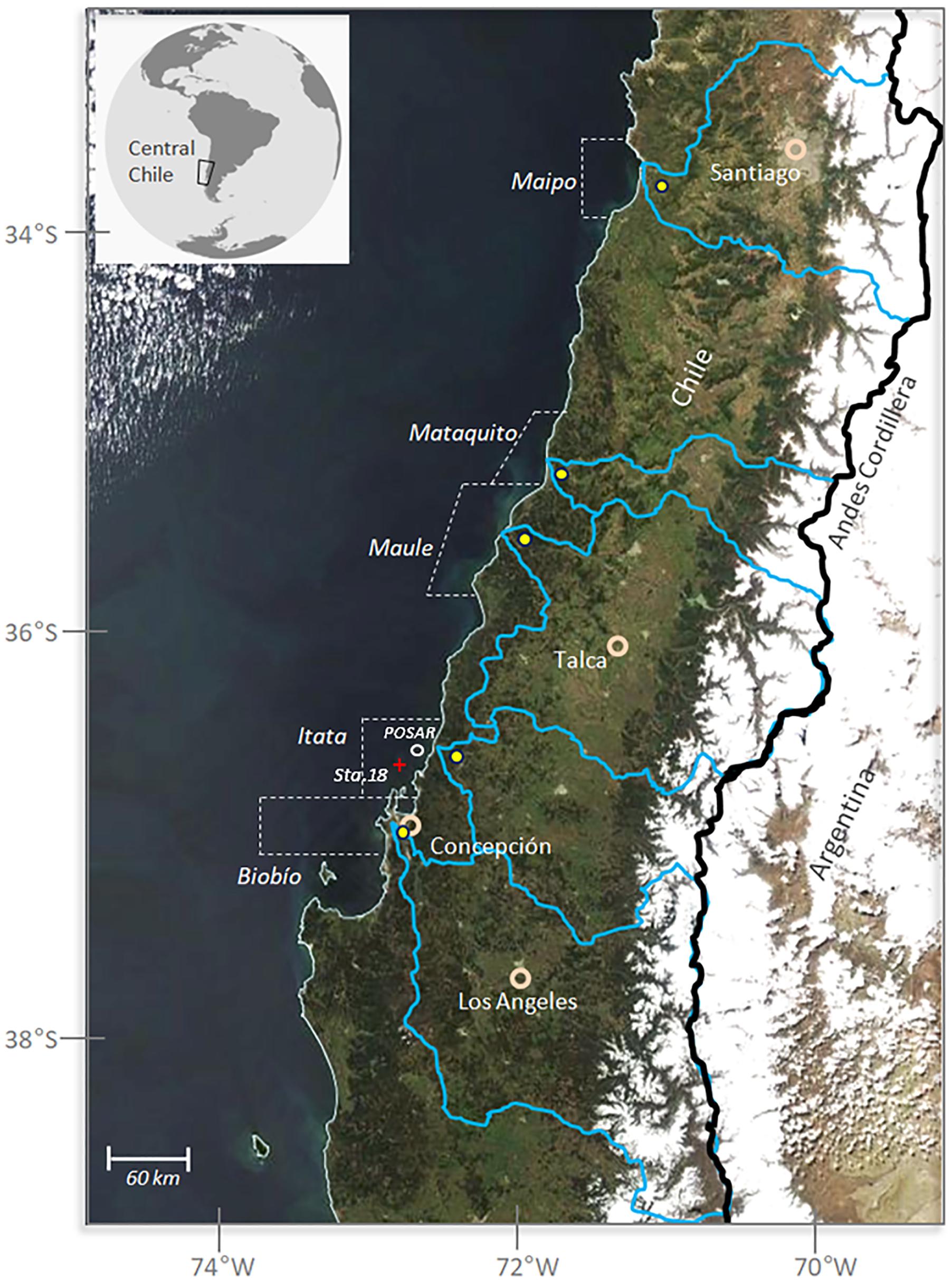 River discharge of freshwater into the Mediterranean