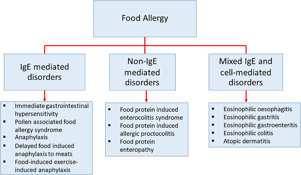 Tolerance to Food Allergy