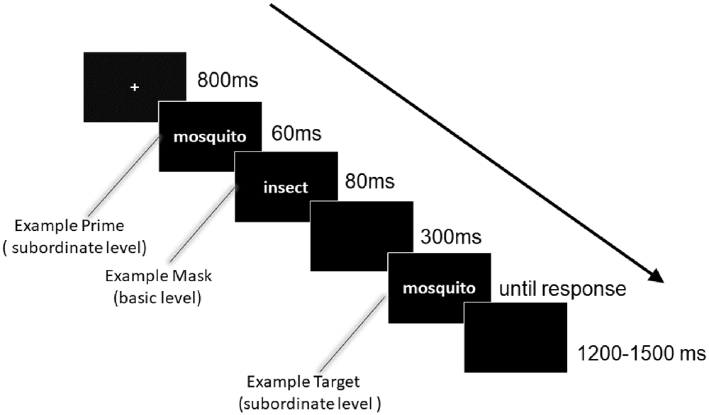 Frontiers The Influence of Hierarchical Masks on Masked Repetition