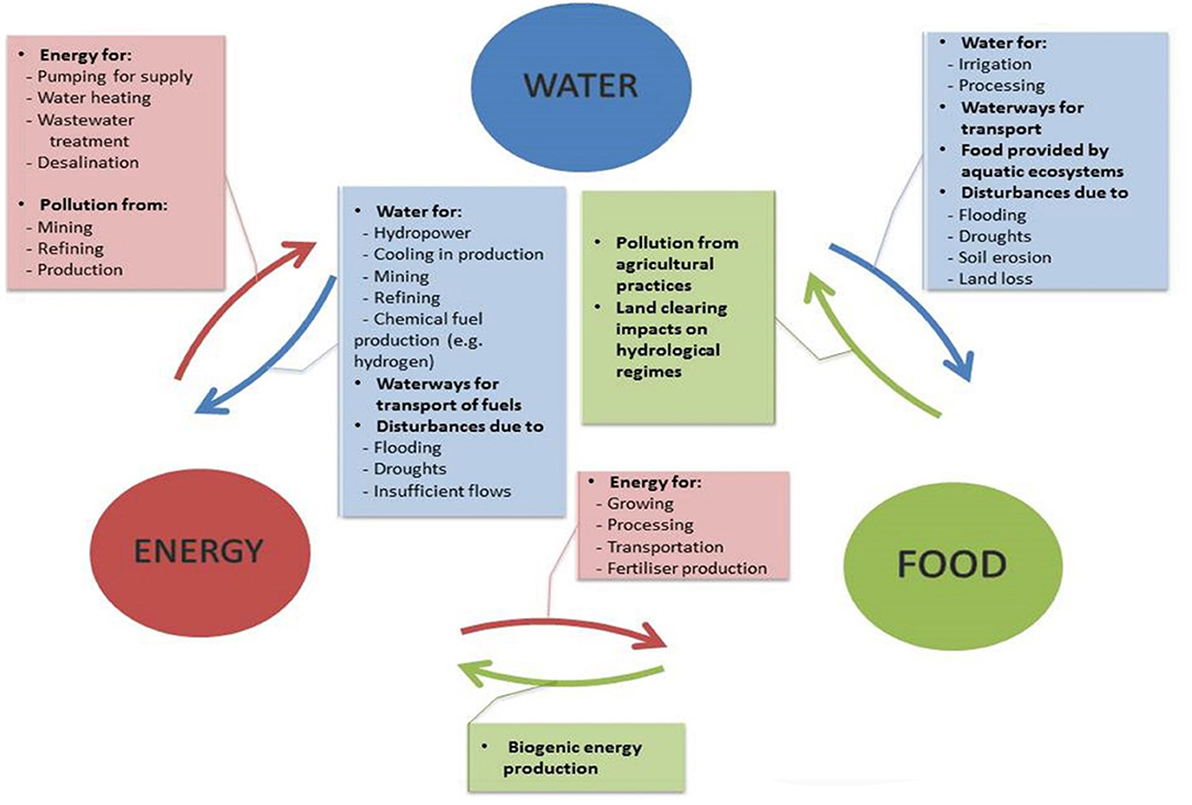 Methods for Evaluating Food-Energy-Water Nexus: Data Envelopment Analysis  and Network Equilibrium Model Approaches