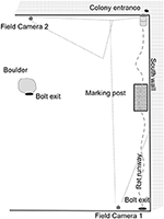 www.frontiersin.org