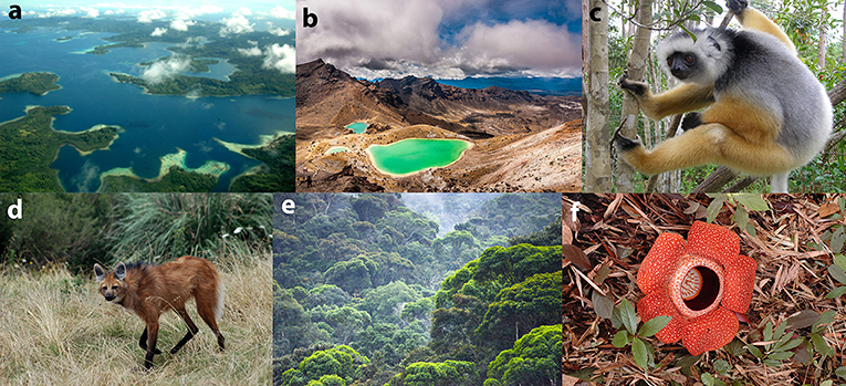 Figure 2 - Biodiversity hotspots and some of their endemic species.