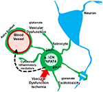 www.frontiersin.org