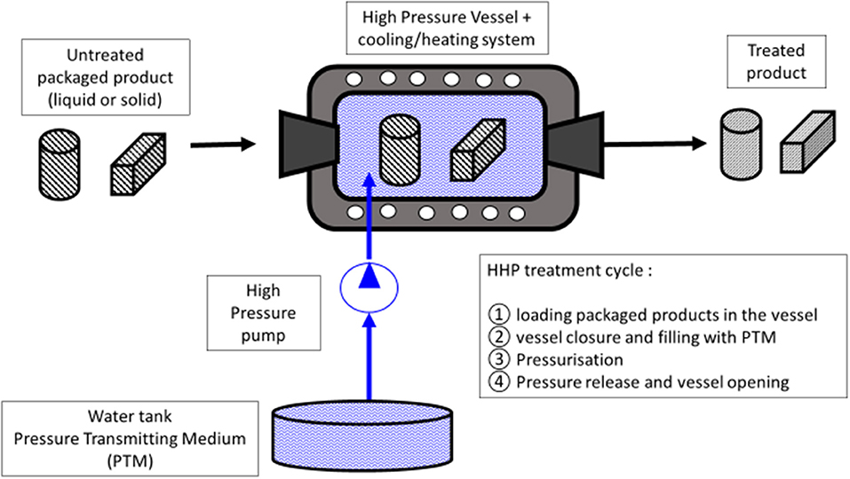 Gas Treatment as a Food Preservation Technique