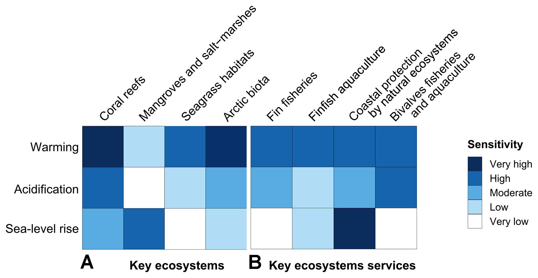 Different fishing techniques and their impacts on the environment « World  Ocean Review