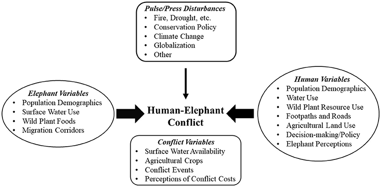 Frontiers | Human-Elephant Conflict: A Review of Current Management  Strategies and Future Directions | Ecology and ...