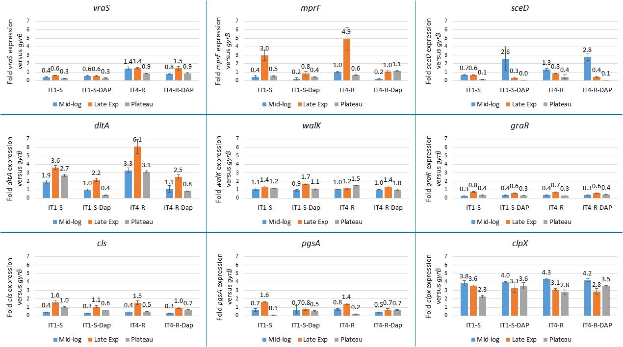 Novel Genetic Insights into Staphylococcus aureus Uncovered