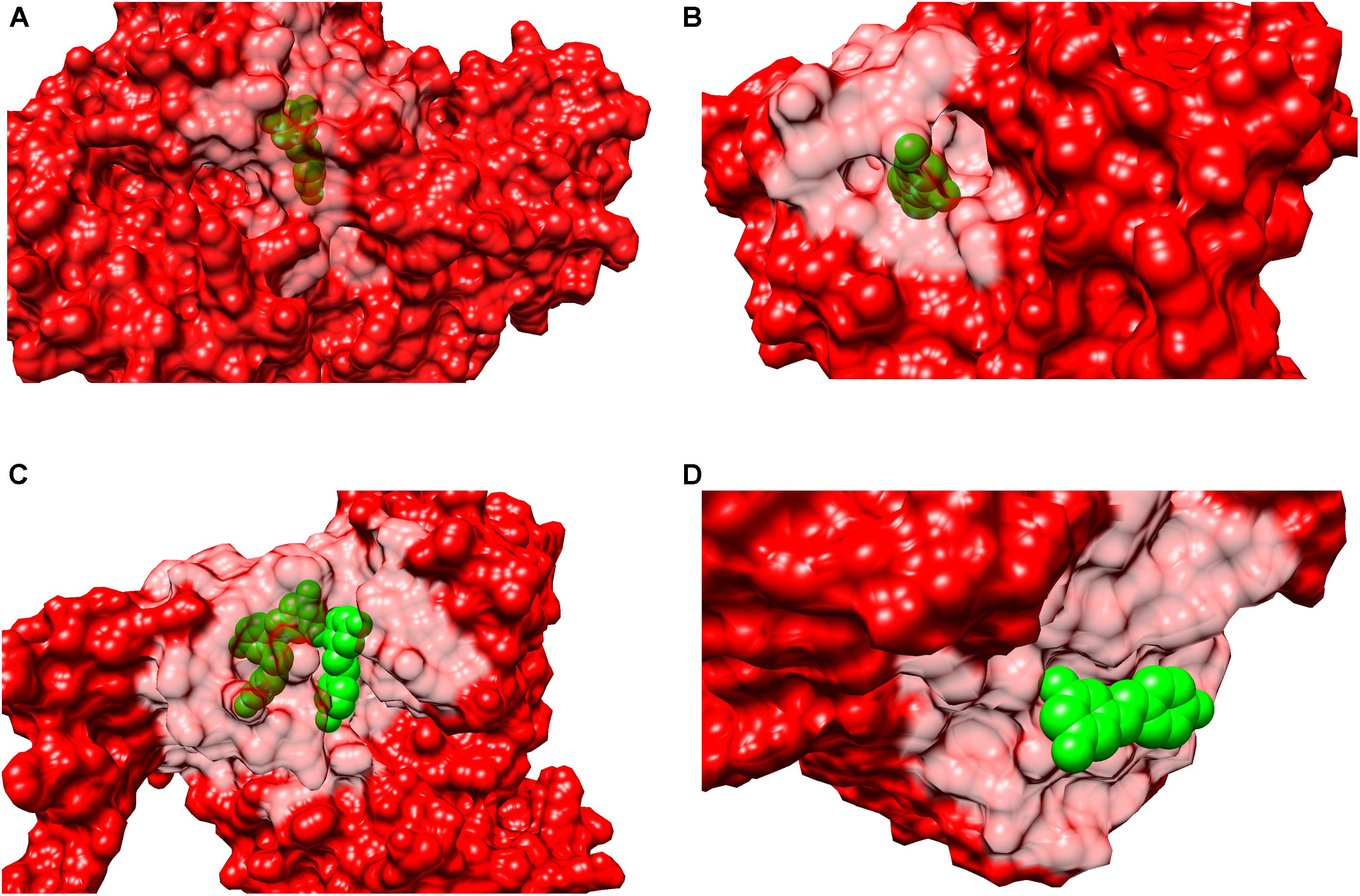 Frontiers | Polypharmacology or Promiscuity? Structural 