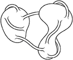 www.frontiersin.org