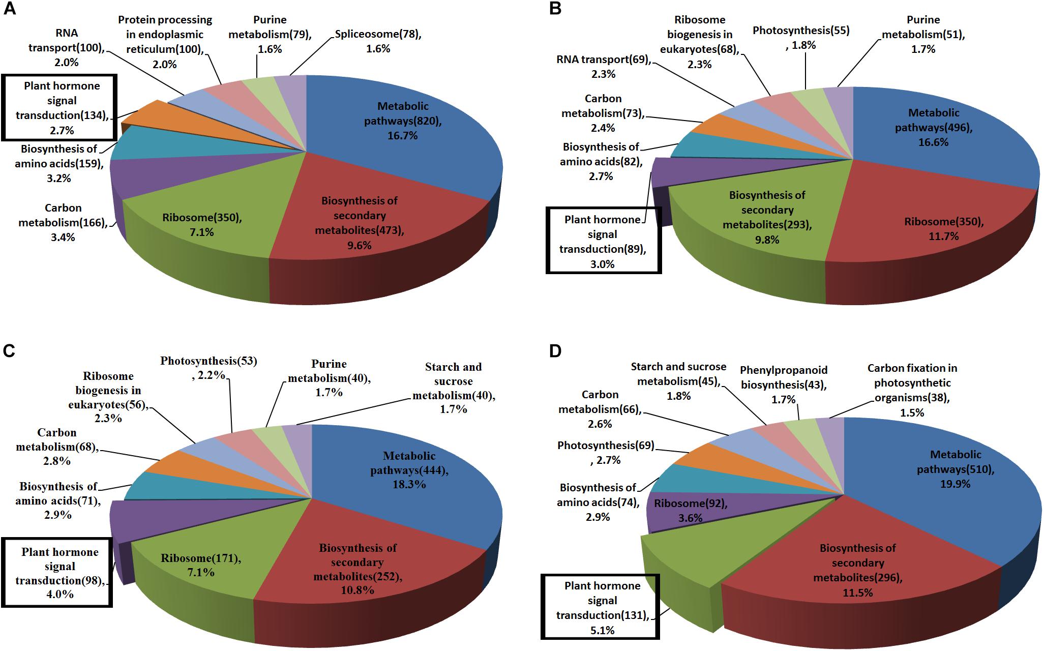 Genome-wide transcriptome analysis reveals molecular pathways involved in  leafy head formation of Chinese cabbage (Brassica rapa)