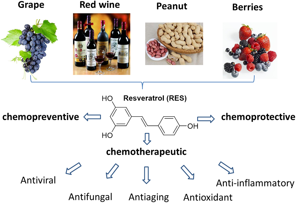 Resveratrol Food Chart