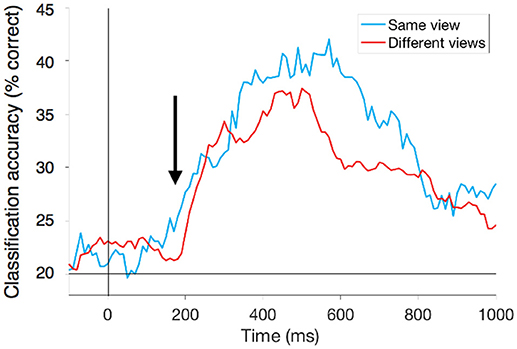 Figure 3 - Reading action information from the human brain.