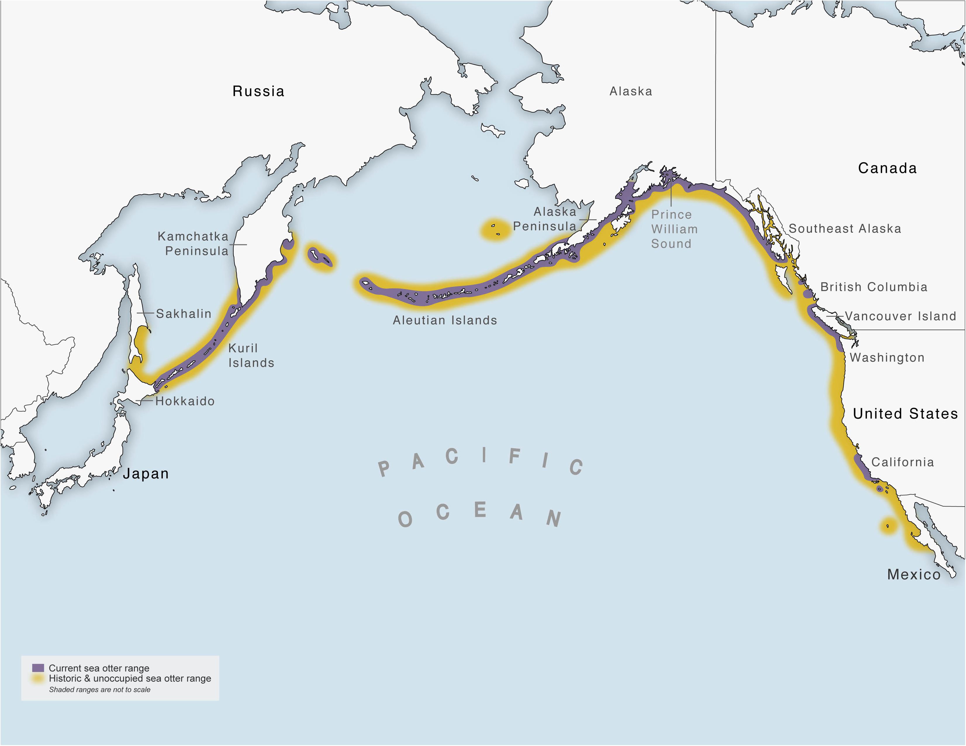 Frontiers | Future Directions in Sea Otter Research and Management