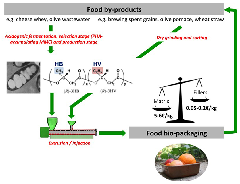 Unpacking the environmental footprint of food packaging materials Features 