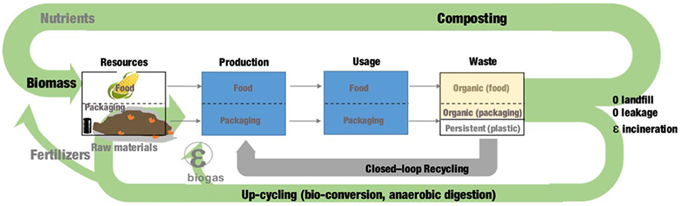 Sustainable Packaging: Greening Food Supply Chains