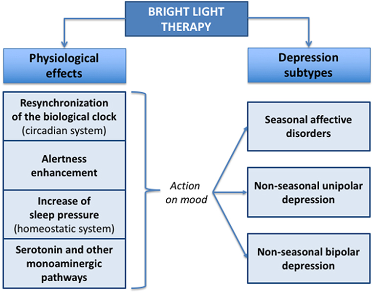 Frontiers | Bright Light as a Personalized Precision Treatment of Disorders