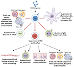 Frontiers | The Key Role of TNF-TNFR2 Interactions in the Modulation of ...