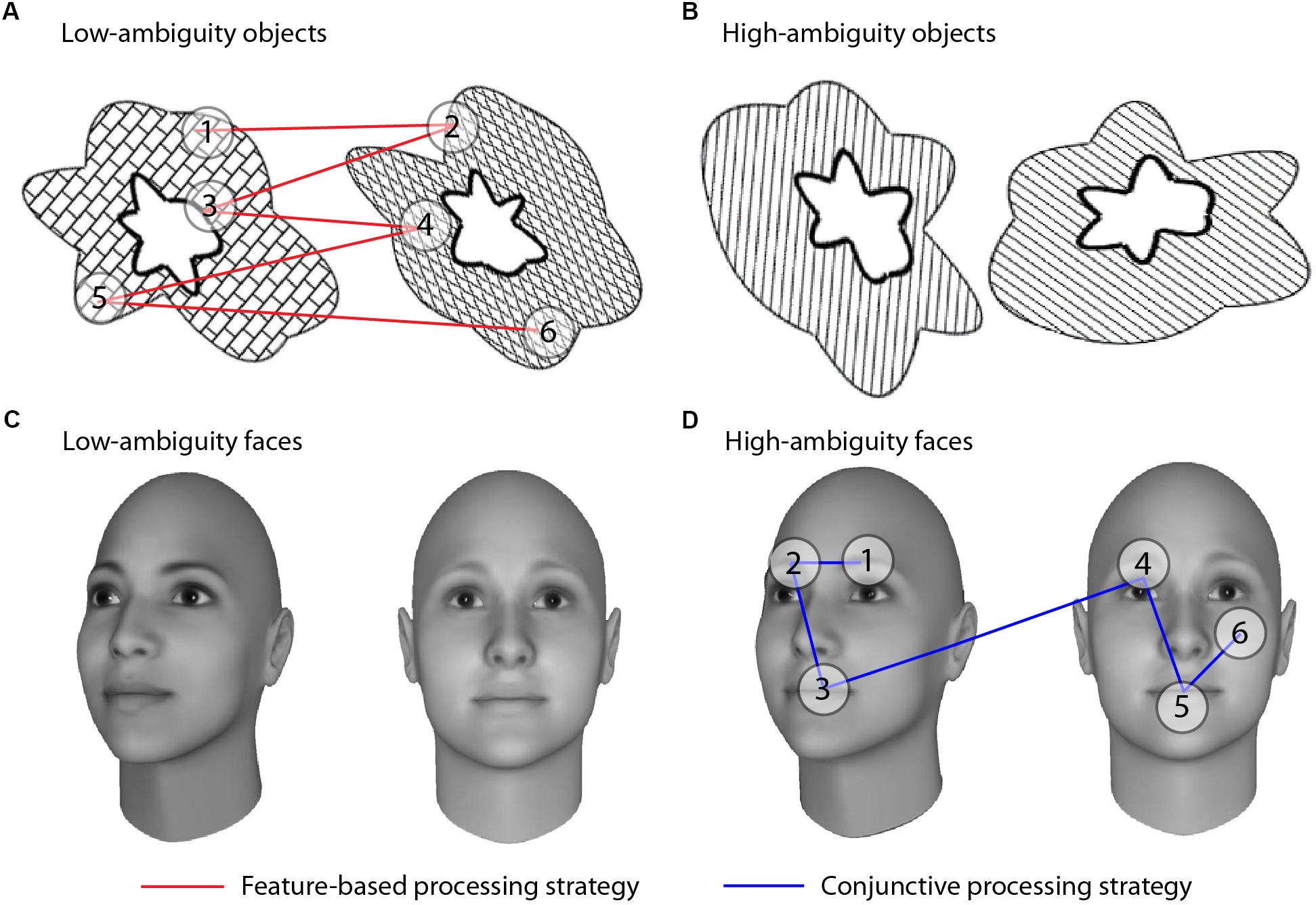 Frontiers | Conjunctive Visual Processing Appears Abnormal in Autism