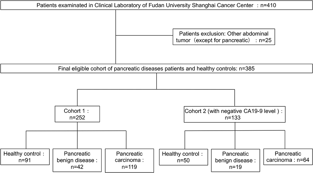 does cancer cause pain in the stomach