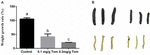 www.frontiersin.org