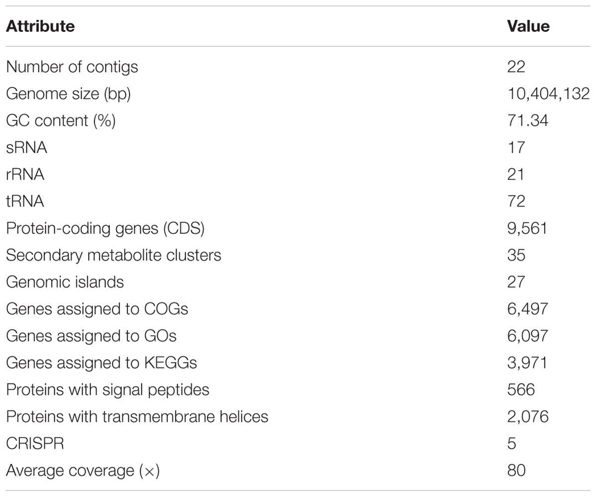 Frontiers | Draft Genome Analysis Offers Insights Into the 