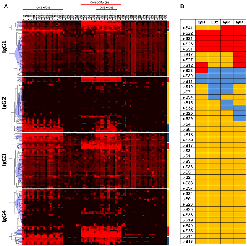 Frontiers  Anti-schistosomal immunity to core xylose/fucose in N