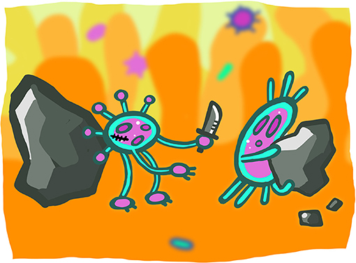איור 2 - הקרב על הברזל בין חיידקים במעיים.