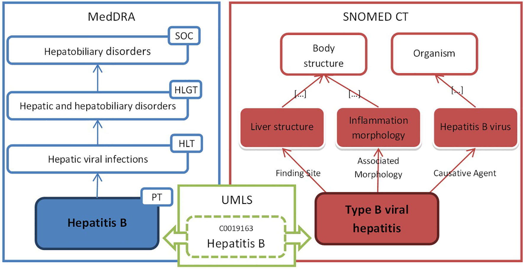 Pharmacovigilance Flow Chart