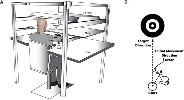 Figure 2 - (A) The machine that records arm movements while it presents the targets and visual feedback to people in the study.