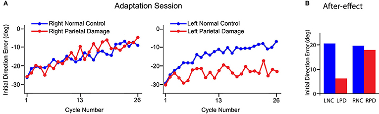 Figure 3 - (A) Shows the errors in the direction of movements when people are first exposed to the motor task.