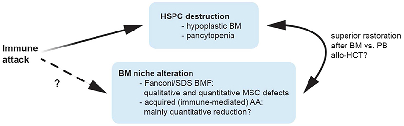 Anemia aplastic