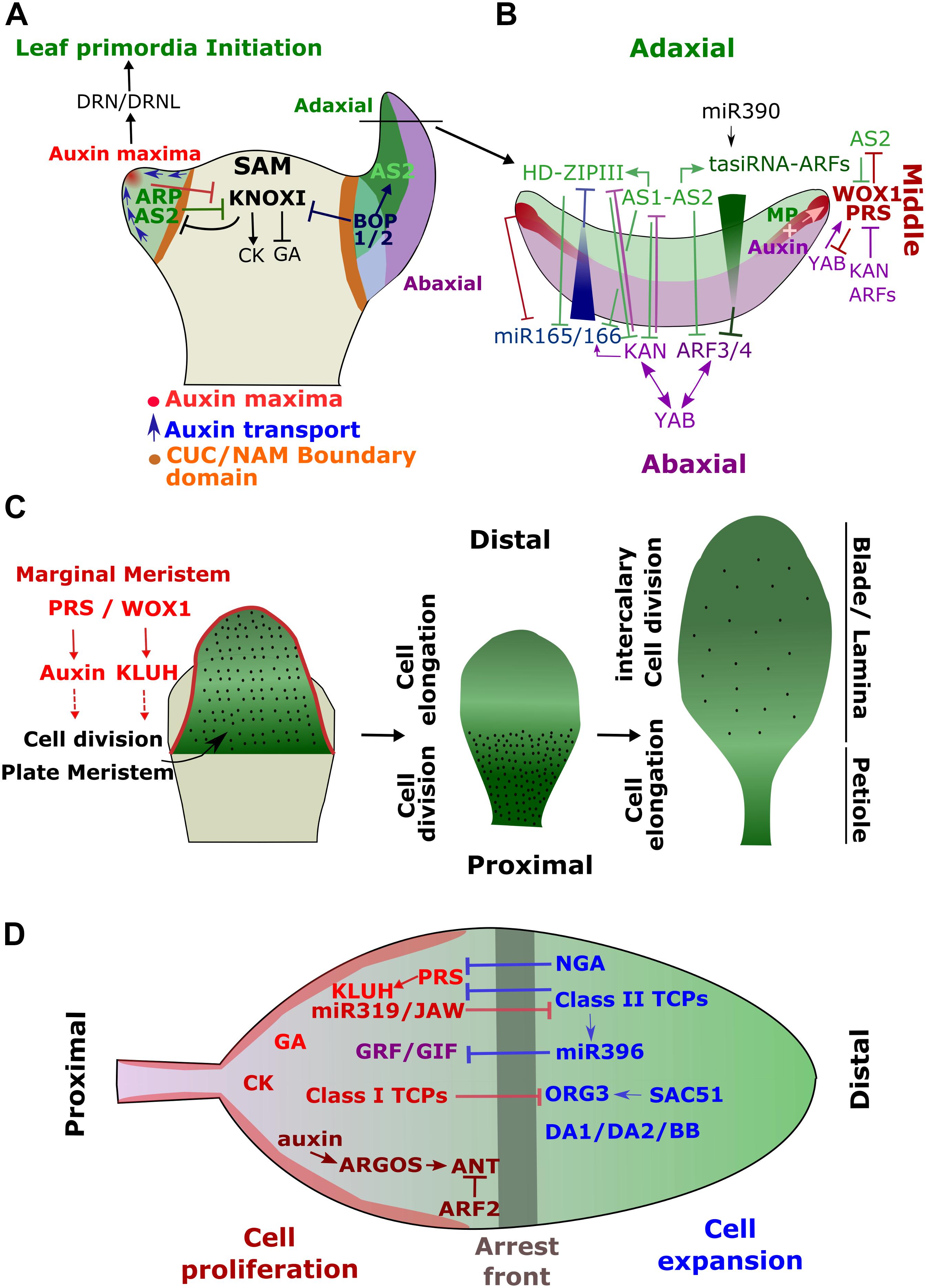 Frontiers Mechanisms Underlying The Environmentally Induced