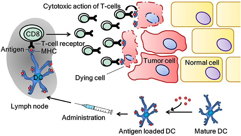 immunotherapy for prostate cancer nhs