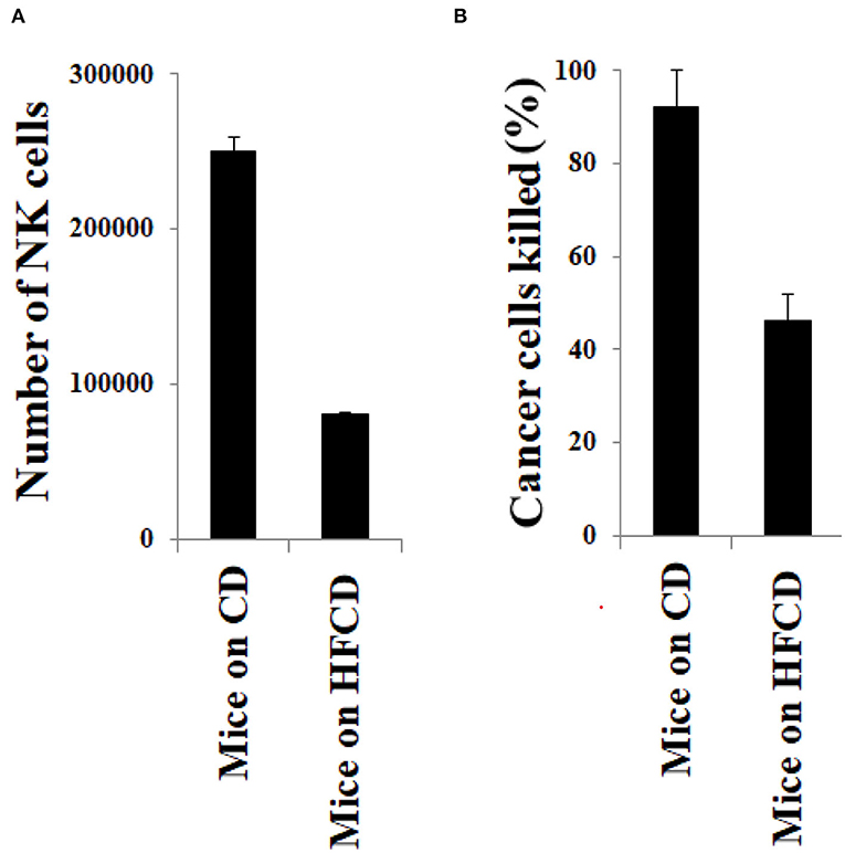 Figure 3 - Obese mice have fewer and less active NK cells.