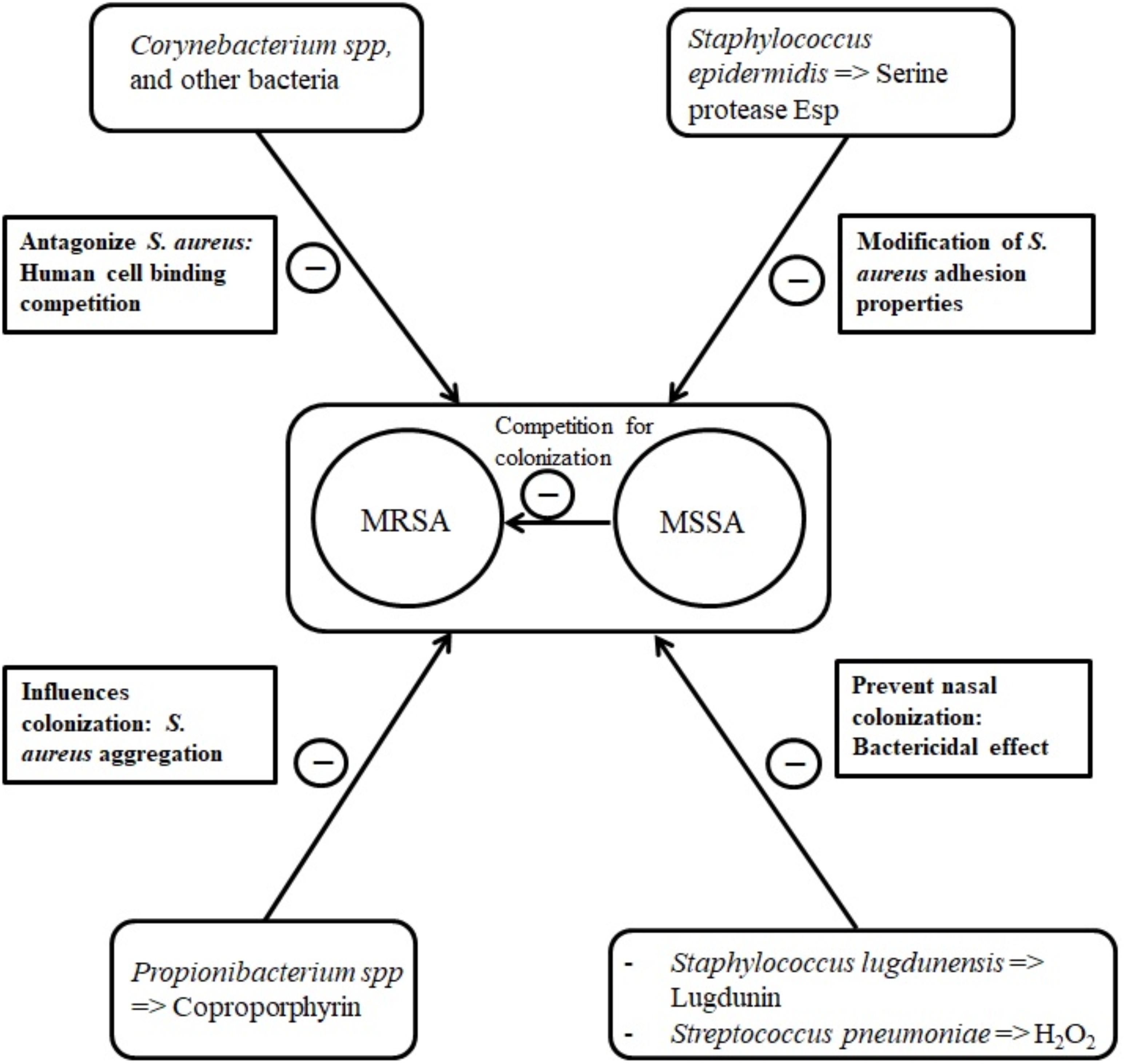 Staphylococcus epidermidis: Trends in Microbiology