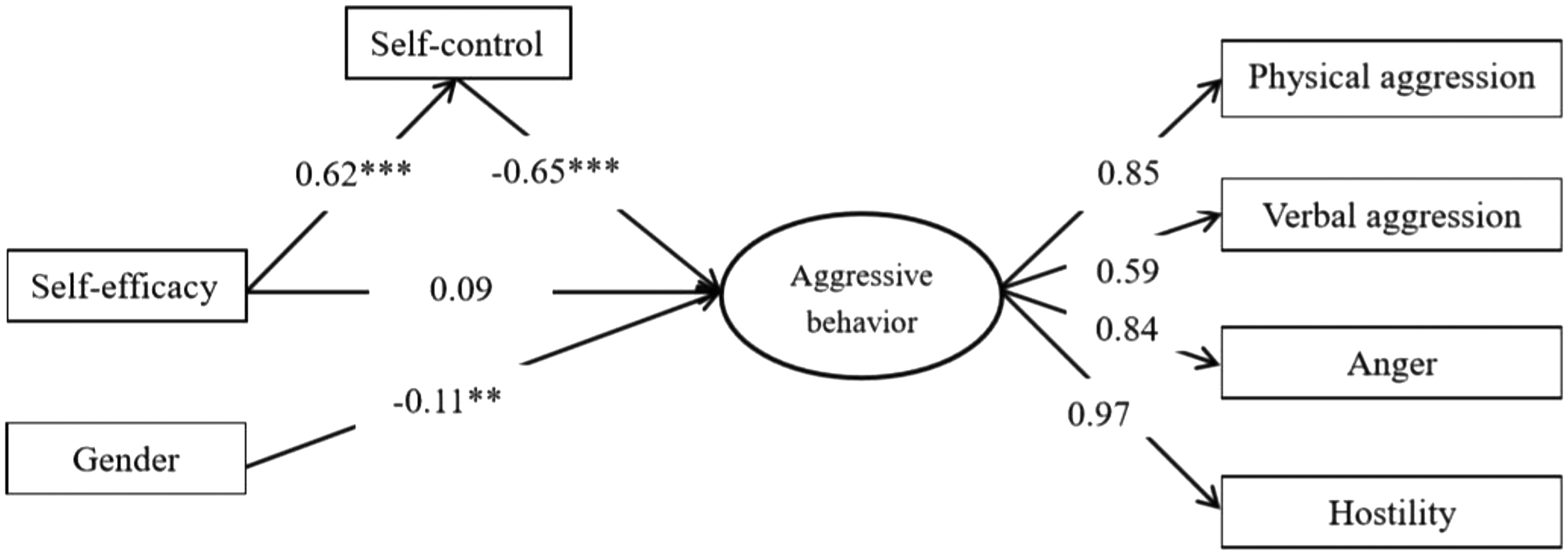 How gender influences the effect of age on self‐efficacy and