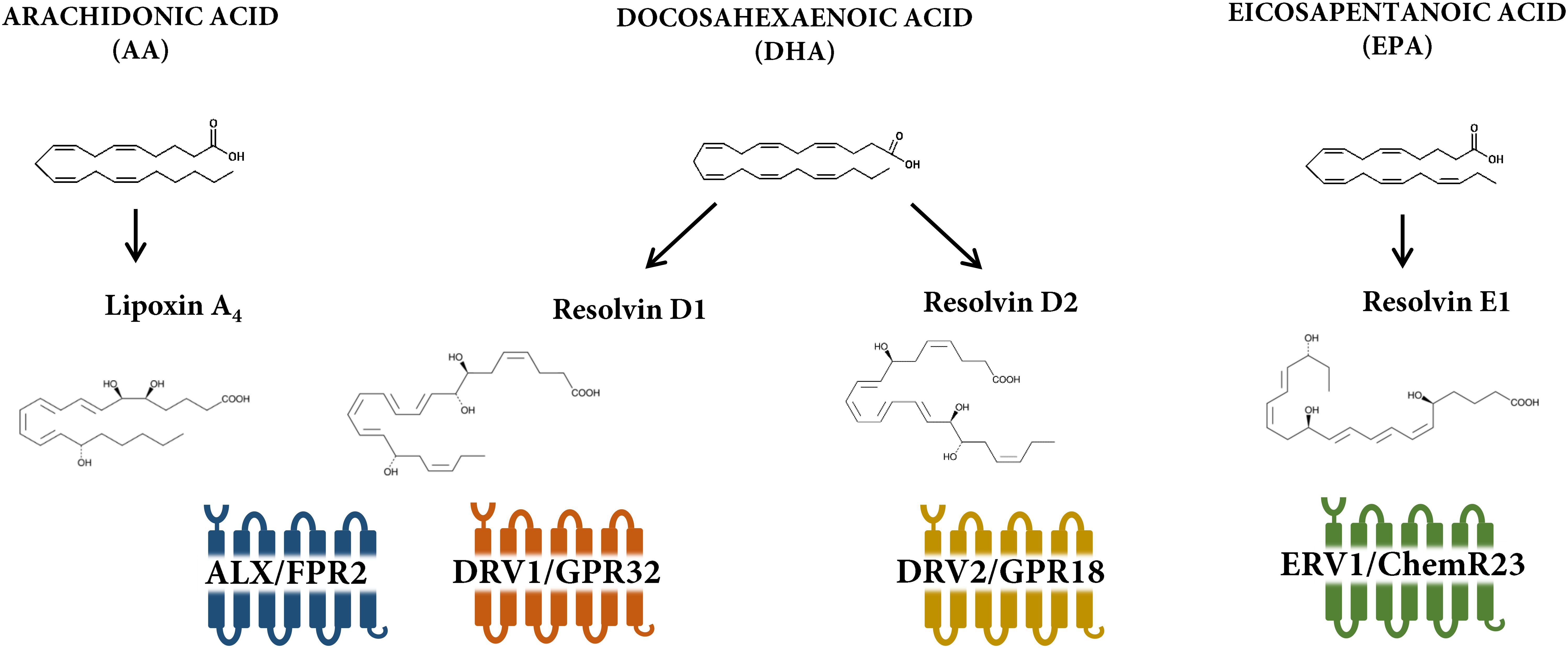 Frontiers Lipoxin And Resolvin Receptors Transducing The Resolution Of Inflammation In Cardiovascular Disease Pharmacology