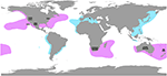 www.frontiersin.org