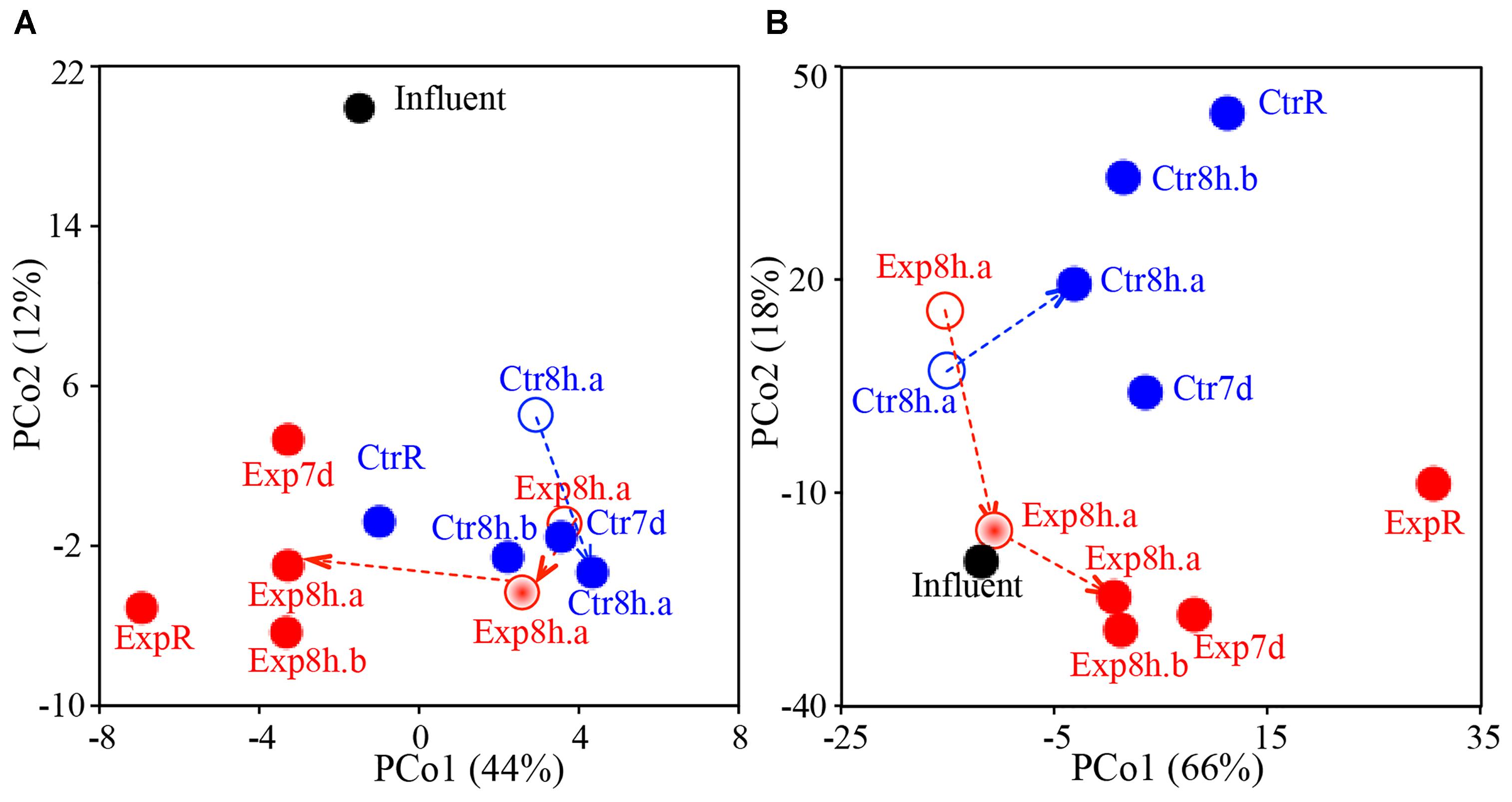 Frontiers  Taxonomical composition and functional analysis of