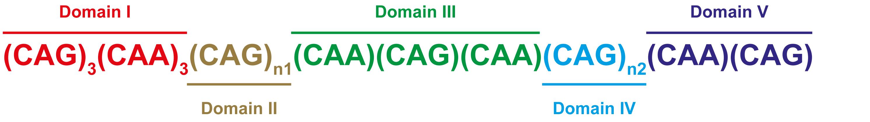 www.frontiersin.org