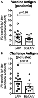 Frontiers  Bordetella bronchiseptica Colonization Limits Efficacy, but